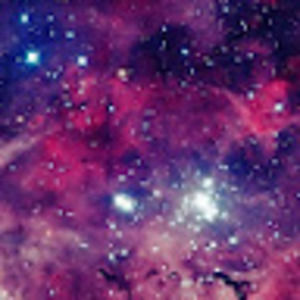 Meet your Posher, Iman